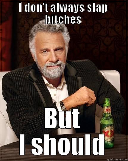 I DON'T ALWAYS SLAP BITCHES BUT I SHOULD The Most Interesting Man In The World