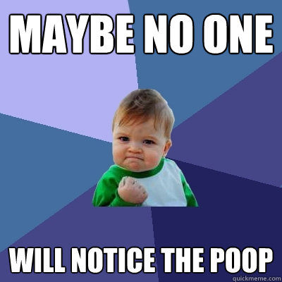MAYBE NO ONE  WILL NOTICE THE POOP  Success Kid