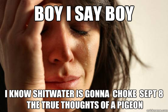 boy i say boy i know shitwater is gonna  choke  sept 8
 the true thoughts of a pigeon  First World Problems