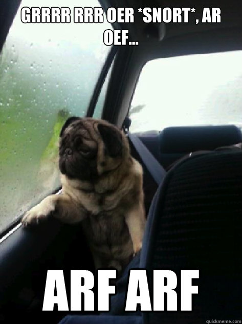 grrrr rrr oer *snort*, ar oef... ARF ARF - grrrr rrr oer *snort*, ar oef... ARF ARF  Introspective Pug