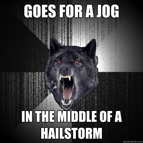 Goes for a jog In the middle of a hailstorm  insanitywolf