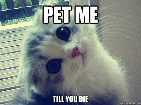 Pet me Till you die  Psycho Kitty