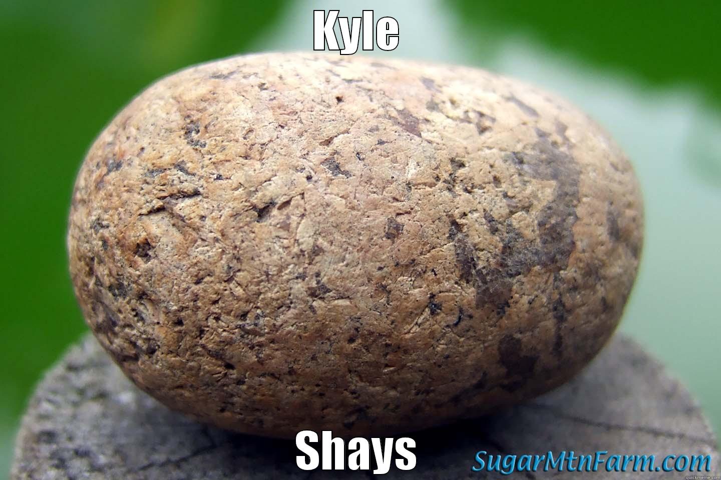 KYLE SHAYS Misc