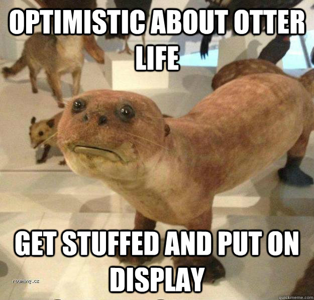 Optimistic about otter life get stuffed and put on display  