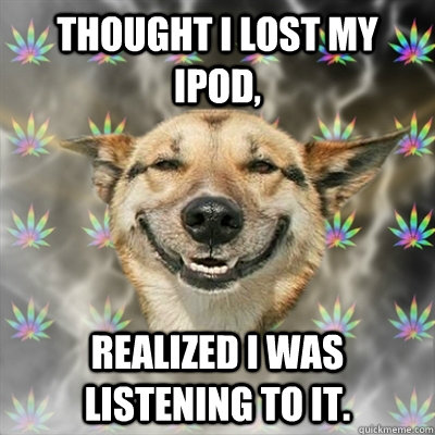 Thought I lost my ipod, realized i was listening to it.  Stoner Dog