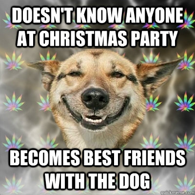 Doesn't know anyone at christmas party becomes best friends with the dog  Stoner Dog