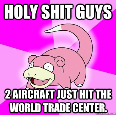 HOLY SHIT GUYS 2 Aircraft just hit the world trade center.  Slowpoke