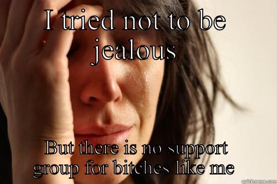 I TRIED NOT TO BE JEALOUS BUT THERE IS NO SUPPORT GROUP FOR BITCHES LIKE ME  First World Problems