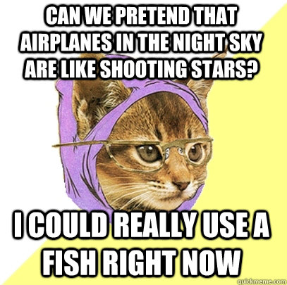 Can we pretend that airplanes in the night sky are like shooting stars? I could really use a fish right now - Can we pretend that airplanes in the night sky are like shooting stars? I could really use a fish right now  Hipster Kitty