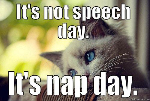 IT'S NOT SPEECH DAY. IT'S NAP DAY. First World Problems Cat
