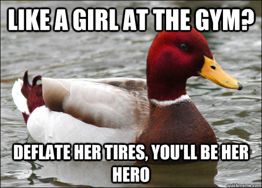 Like a girl at the gym? deflate her tires, you'll be her hero  Malicious Advice Mallard