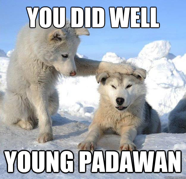 you did well
 young padawan  Caring Husky