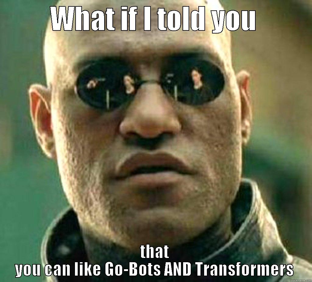 WHAT IF I TOLD YOU THAT YOU CAN LIKE GO-BOTS AND TRANSFORMERS Misc