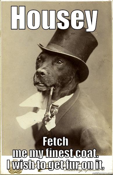 HOUSEY FETCH ME MY FINEST COAT. I WISH TO GET FUR ON IT. Old Money Dog