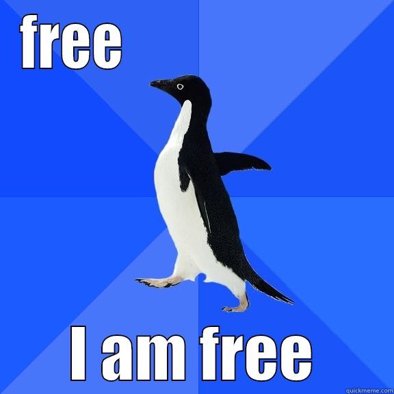FREE                       I AM FREE Socially Awkward Penguin