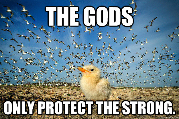 The Gods  only protect the strong.   