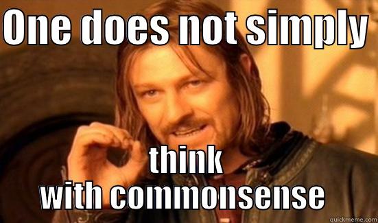 ONE DOES NOT SIMPLY  THINK WITH COMMONSENSE  Boromir
