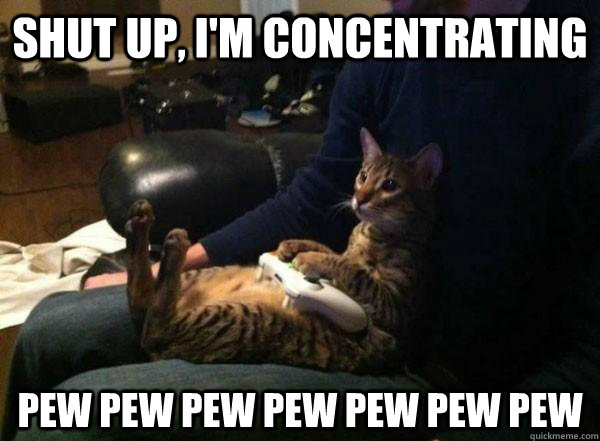 shut up, i'm concentrating pew pew pew pew pew pew pew - shut up, i'm concentrating pew pew pew pew pew pew pew  Gamer Cat
