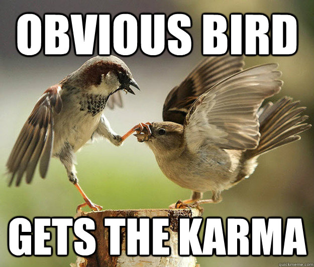 Obvious bird gets the karma  