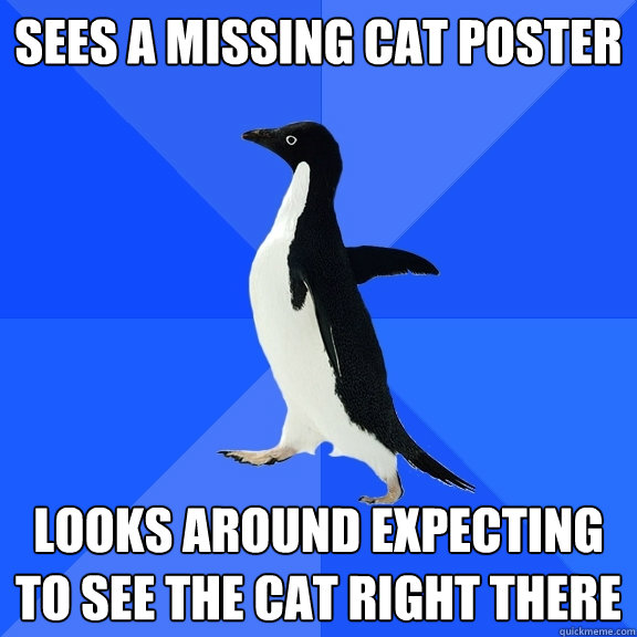 Sees a missing cat poster Looks around expecting to see the cat right there  Socially Awkward Penguin
