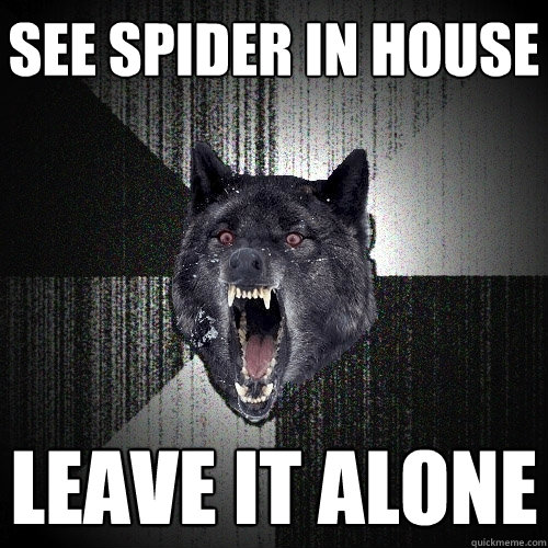 see spider in house leave it alone  Insanity Wolf