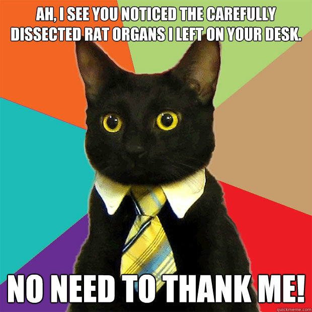 Ah, I see you noticed the carefully dissected rat organs I left on your desk. No need to thank me!  Business Cat