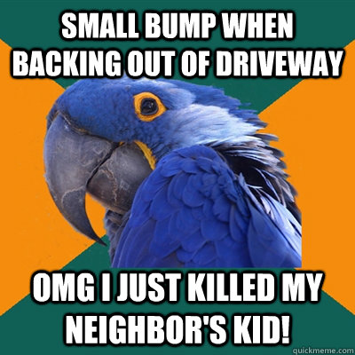 SMALL BUMP WHEN BACKING OUT OF DRIVEWAY OMG I JUST KILLED MY NEIGHBOR'S KID!  Paranoid Parrot