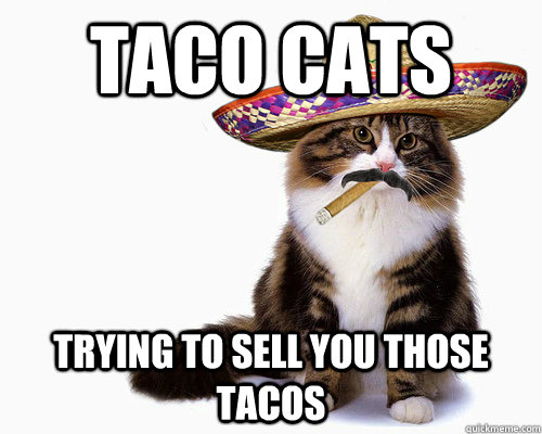 Taco Cats Trying to Sell YOU Those Tacos - Taco Cats Trying to Sell YOU Those Tacos  Taco Cats