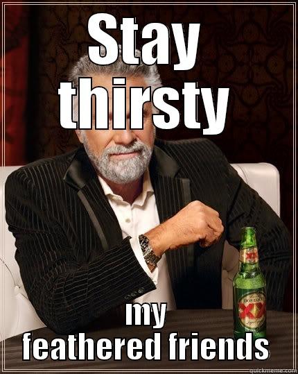 STAY THIRSTY MY FEATHERED FRIENDS The Most Interesting Man In The World
