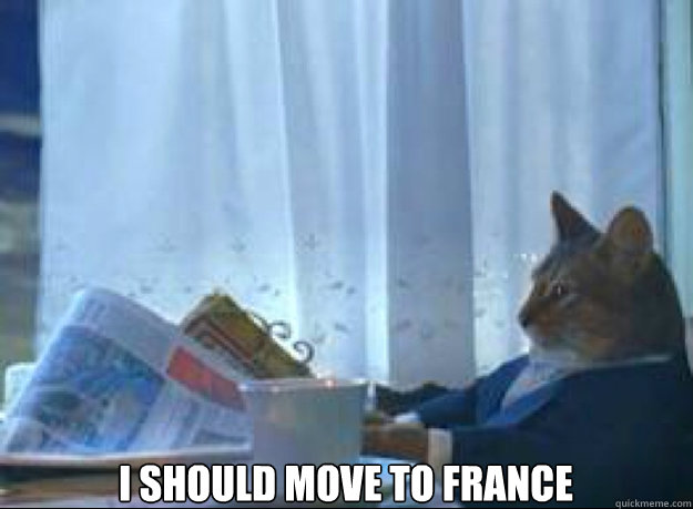 I should move to France  - I should move to France   I should buy a boat cat