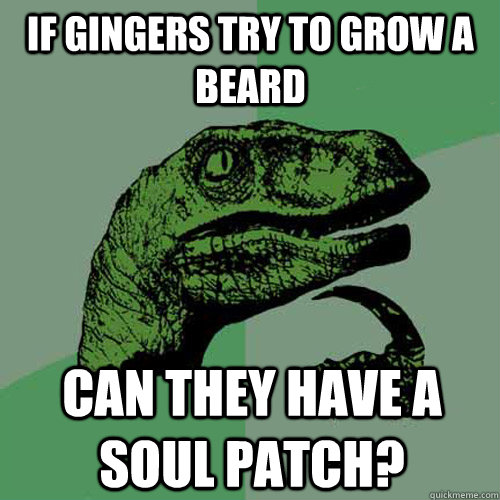 If gingers try to grow a beard can they have a soul patch? - If gingers try to grow a beard can they have a soul patch?  Philosoraptor