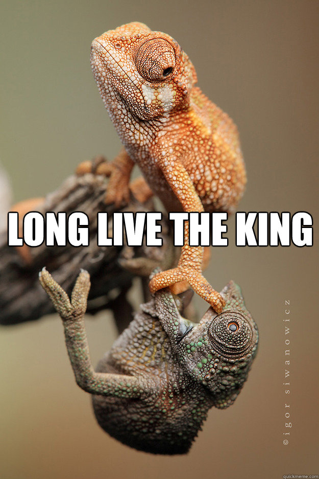 Long Live The king  Long live the king