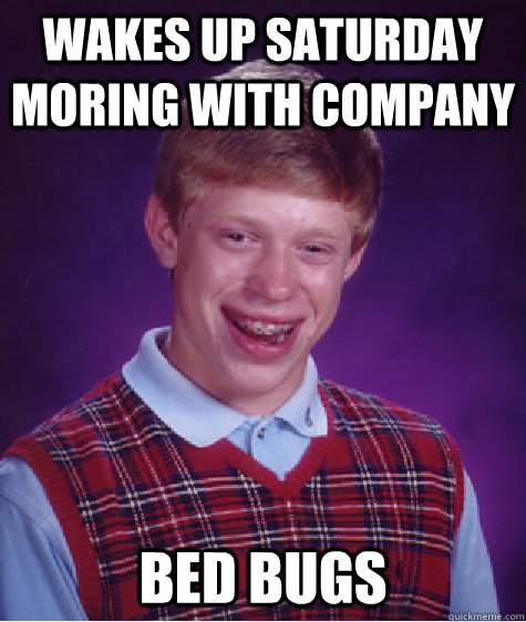 wakes up saturday moring with company bed bugs  Bad Luck Brian