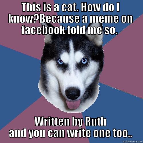 THIS IS A CAT. HOW DO I KNOW?BECAUSE A MEME ON FACEBOOK TOLD ME SO.  WRITTEN BY RUTH AND YOU CAN WRITE ONE TOO.. Creeper Canine