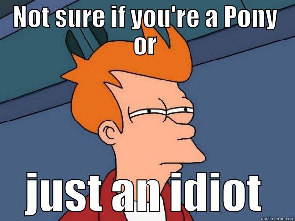 NOT SURE IF YOU'RE A PONY OR JUST AN IDIOT Futurama Fry