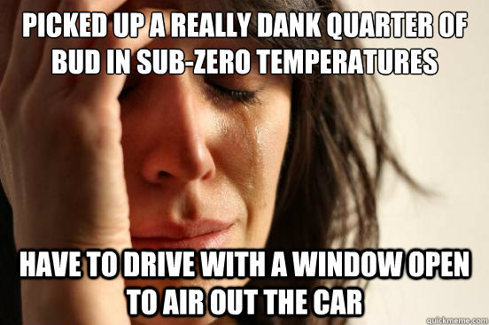Picked up a really dank quarter of bud in sub-zero temperatures  Have to drive with a window open to air out the car  First World Problems