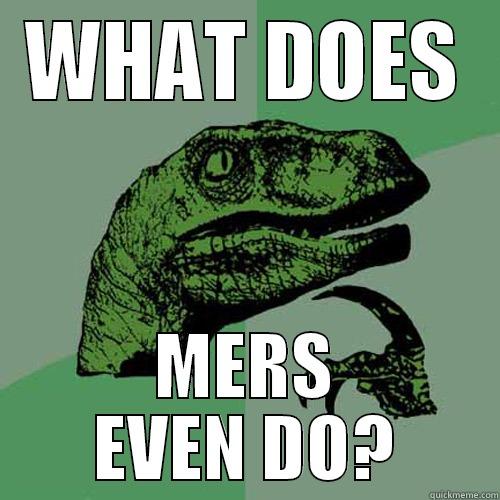 WHAT DOES MERS EVEN DO? Philosoraptor
