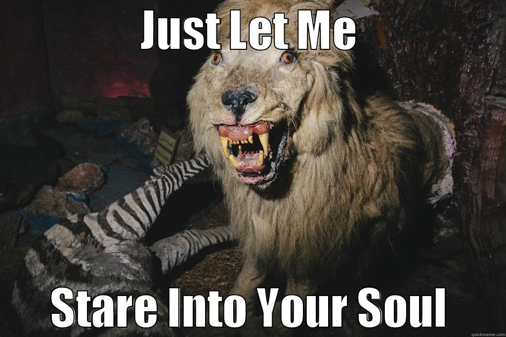 JUST LET ME STARE INTO YOUR SOUL Misc