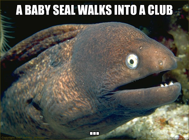 A baby seal walks into a club ...  Bad Joke Eel