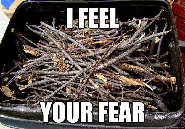 I feel Your fear - I feel Your fear  Fiddlesticks