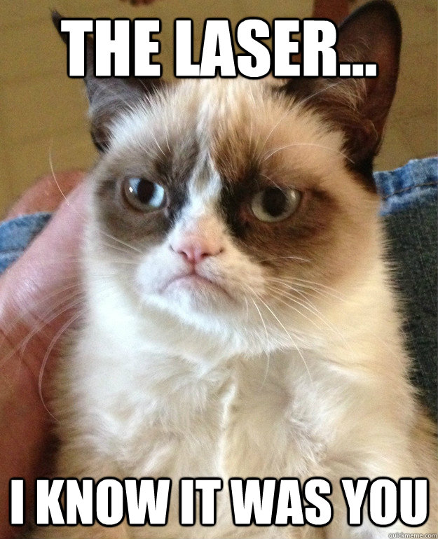 the laser... i know it was you  cat had fun once