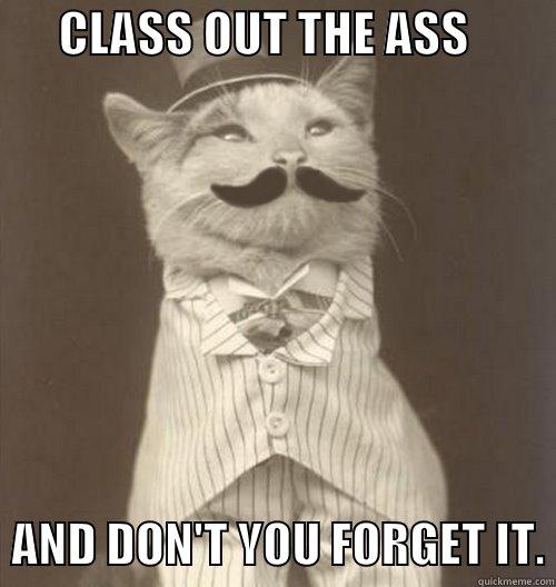       CLASS OUT THE ASS            AND DON'T YOU FORGET IT. Original Business Cat