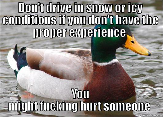 DON'T DRIVE IN SNOW OR ICY CONDITIONS IF YOU DON'T HAVE THE PROPER EXPERIENCE  YOU MIGHT FUCKING HURT SOMEONE  Actual Advice Mallard