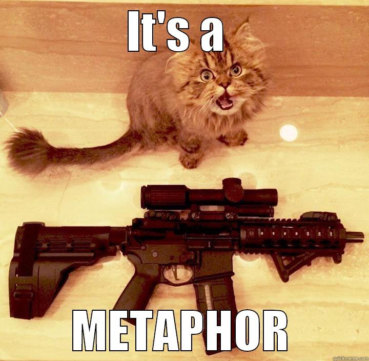 IT'S A  METAPHOR Misc