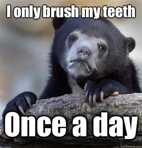 I only brush my teeth Once a day  Confession Bear