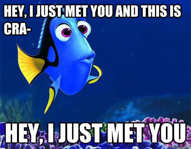 Hey, I just met you and this is cra- Hey, I just met you  