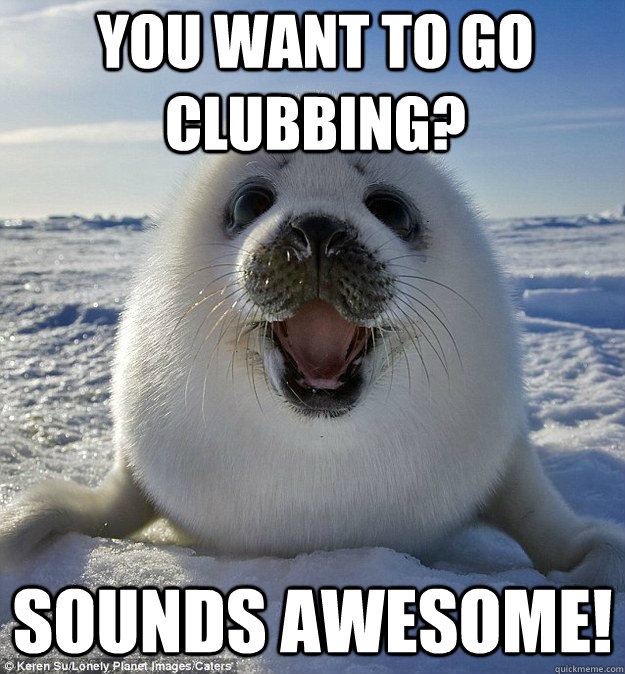 YOU WANT TO GO CLUBBING? SOUNDS AWESOME!  Easily Pleased Seal