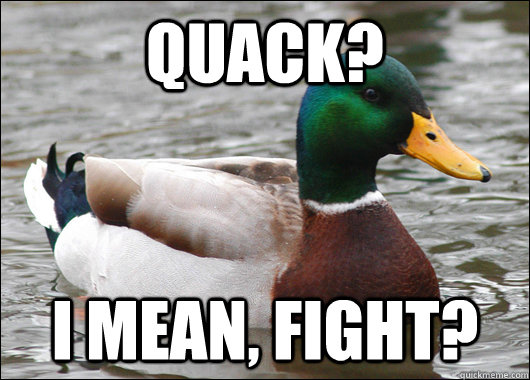 Quack? i mean, fight?  Actual Advice Mallard
