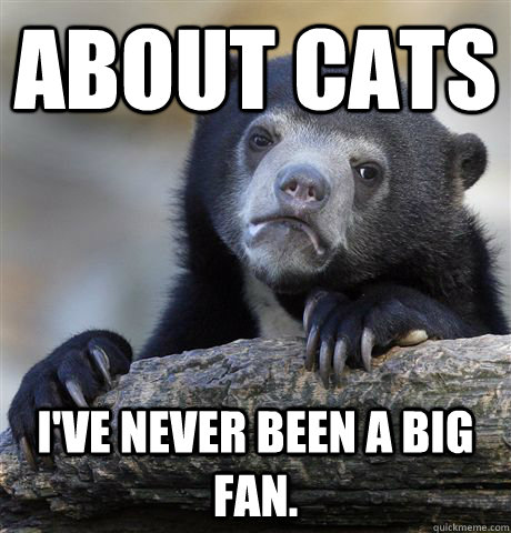 About Cats I've never been a big fan.  Confession Bear