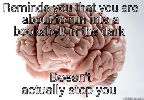 REMINDS YOU THAT YOU ARE ABOUT TO RUN INTO A BOOKSHELF IN THE DARK  DOESN'T ACTUALLY STOP YOU  Scumbag Brain